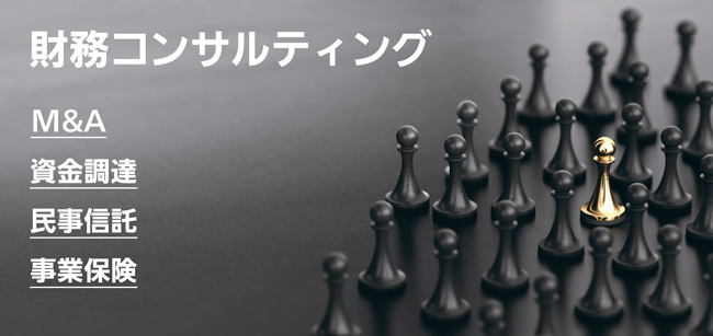 財務コンサルティング